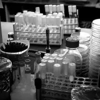 Laboratorio Clínico